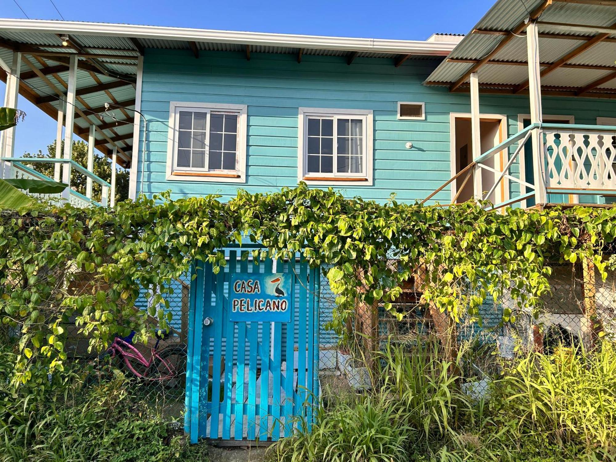 Casa Pelicano Bocas del Toro Eksteriør bilde